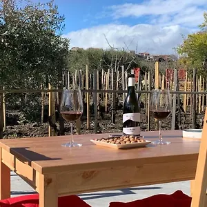 La Casa Nel Vigneto Di Tenuta Bastonaca Casa vacanze
